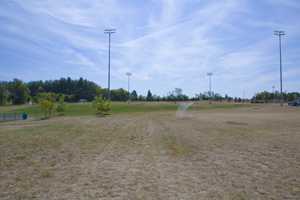 roberts4